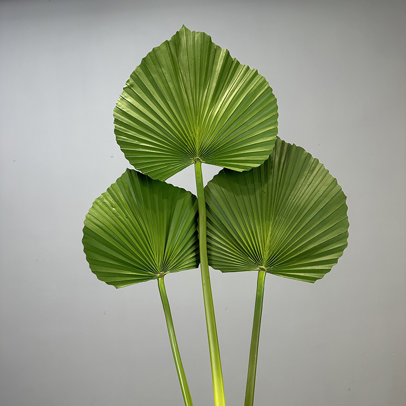 Umjetna biljka s listovima banane (banana leaf), palme (palm leaf), trske (cattail leaf) i lišćem suncokreta (sunflower leaf) – zeleni ukras za dom, rekviziti za vjenčanje i fotografiju, visina 100–200 cm