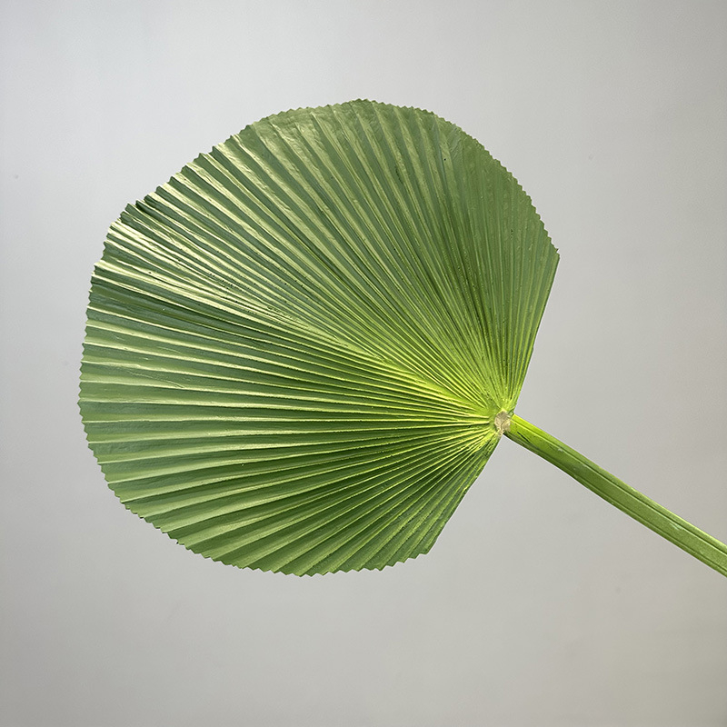 Umjetna biljka s listovima banane (banana leaf), palme (palm leaf), trske (cattail leaf) i lišćem suncokreta (sunflower leaf) – zeleni ukras za dom, rekviziti za vjenčanje i fotografiju, visina 100–200 cm