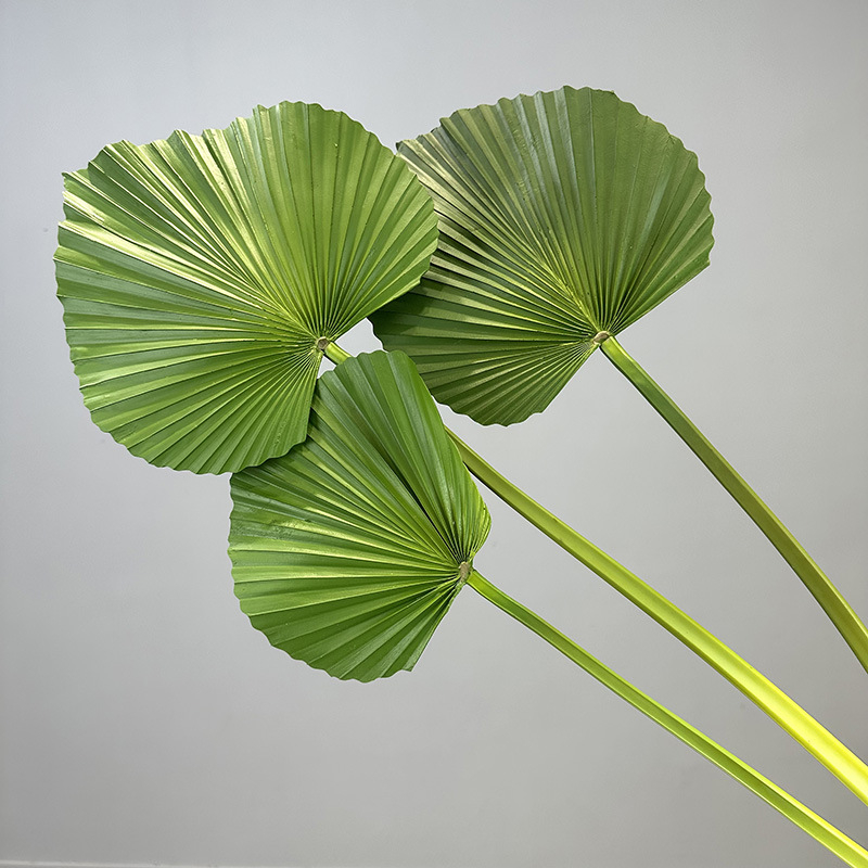 Umjetna biljka s listovima banane (banana leaf), palme (palm leaf), trske (cattail leaf) i lišćem suncokreta (sunflower leaf) – zeleni ukras za dom, rekviziti za vjenčanje i fotografiju, visina 100–200 cm