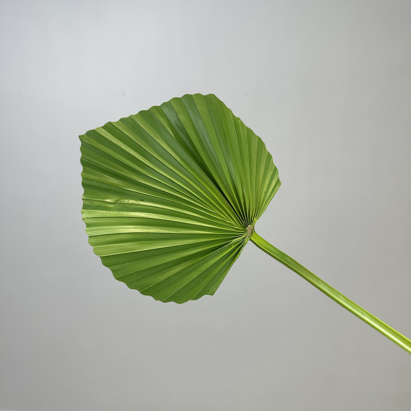 Umjetna biljka s listovima banane (banana leaf), palme (palm leaf), trske (cattail leaf) i lišćem suncokreta (sunflower leaf) – zeleni ukras za dom, rekviziti za vjenčanje i fotografiju, visina 100–200 cm