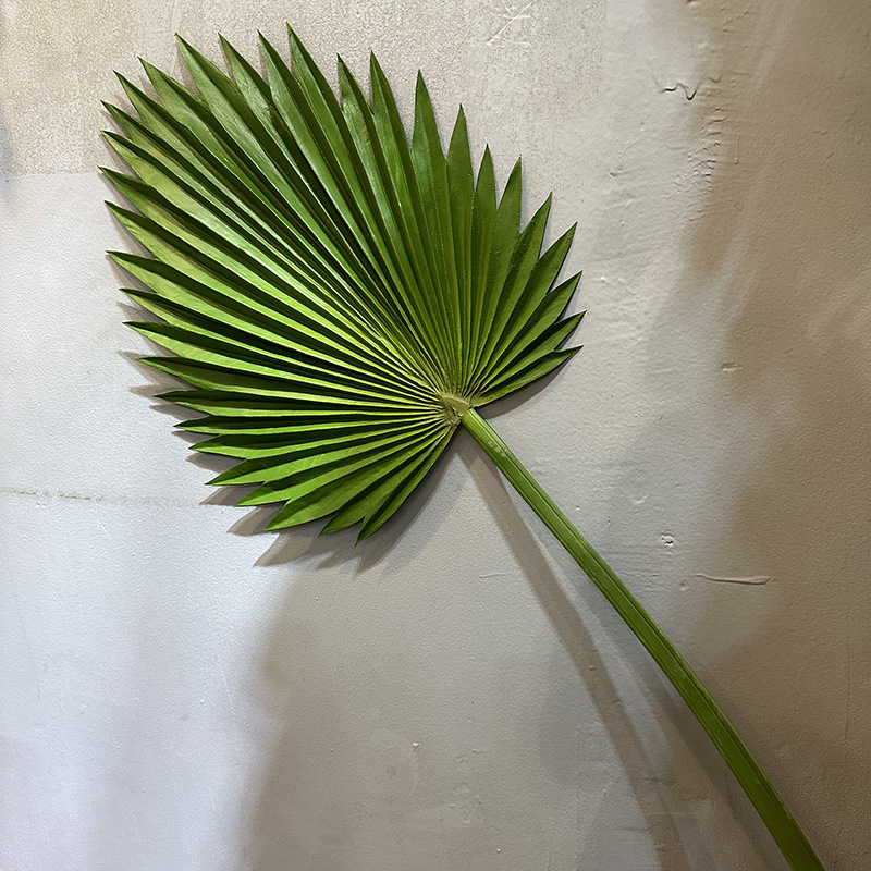 Umjetna biljka s listovima banane (banana leaf), palme (palm leaf), trske (cattail leaf) i lišćem suncokreta (sunflower leaf) – zeleni ukras za dom, rekviziti za vjenčanje i fotografiju, visina 100–200 cm