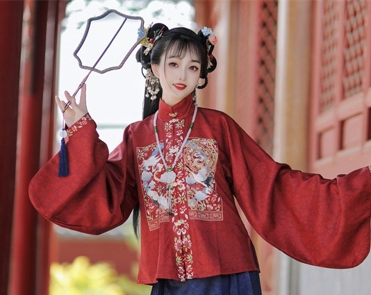 Ming dinastija Hanfu za žene, proljeće–jesen, komplet s horse-face suknjom, stojeći ovratnik, prednje kopčanje, svakodnevno nošenje, jesenski kineski stil