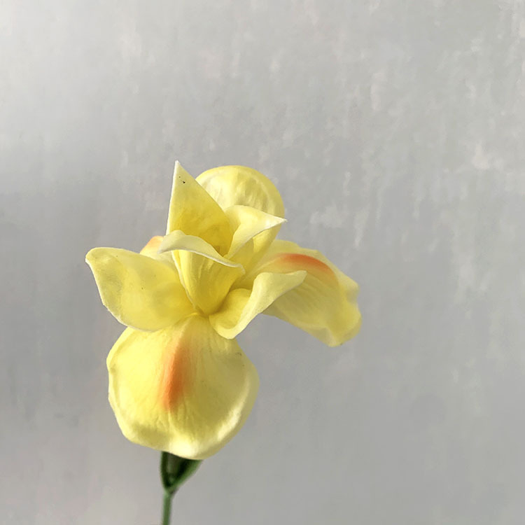 Alice Iris umelá kvetina, jednostvolová, na domovú dekoráciu a rekvizity pre fotografovanie
