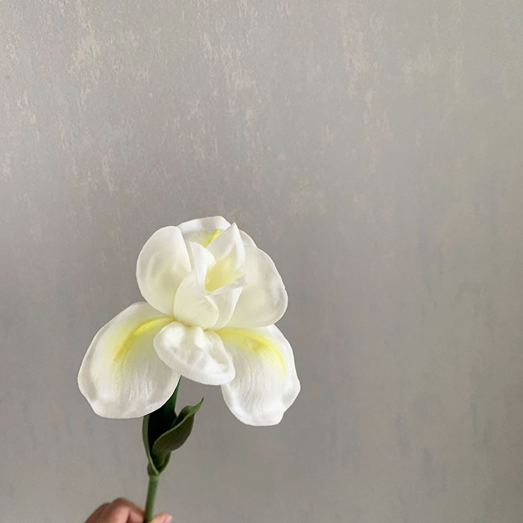 Alice Iris umelá kvetina, jednostvolová, na domovú dekoráciu a rekvizity pre fotografovanie