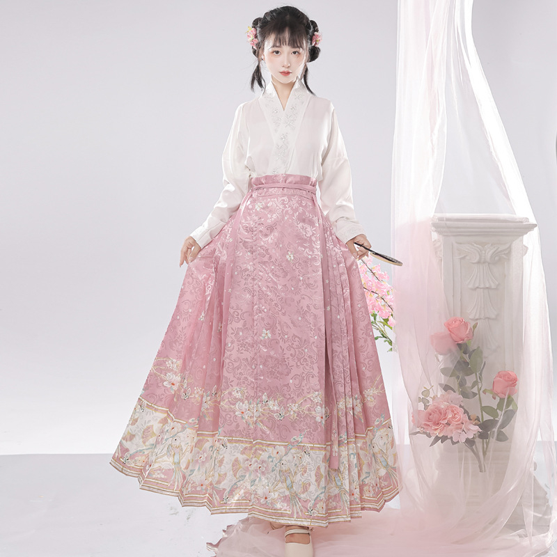 Ženski Hanfu set u Ming stilu, izvezena preklopna ovratnica, rukavi s krilima, nacionalni stil, suknja s panelom konjskog lica, svakodnevna putna odjeća