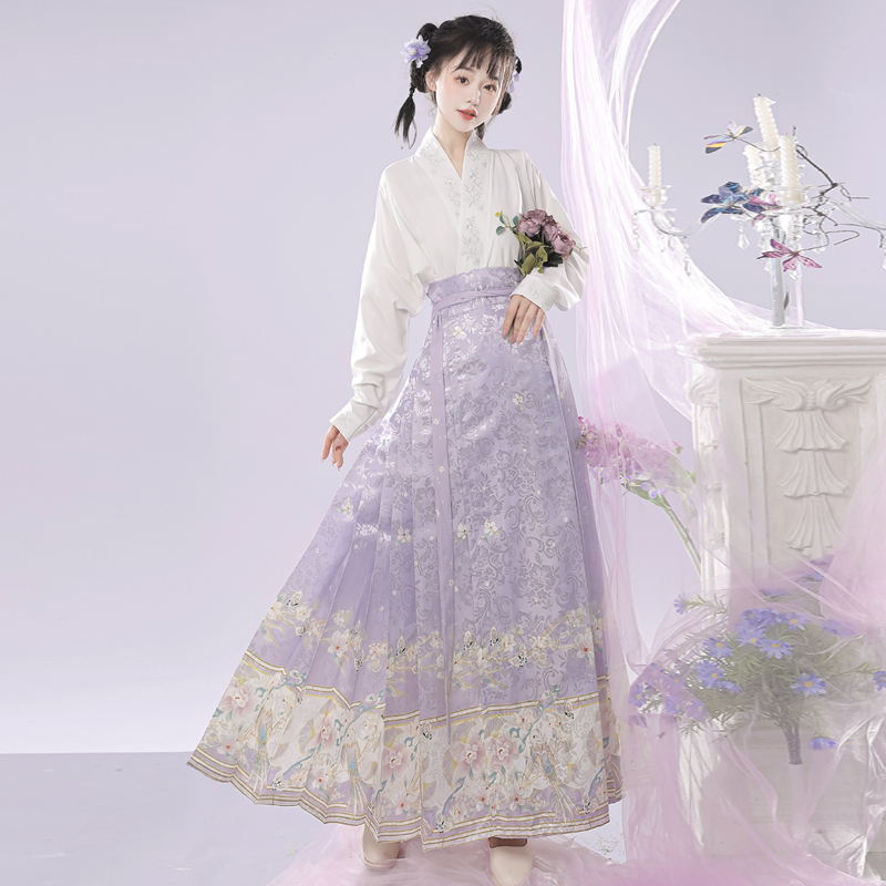 Ženski Hanfu set u Ming stilu, izvezena preklopna ovratnica, rukavi s krilima, nacionalni stil, suknja s panelom konjskog lica, svakodnevna putna odjeća