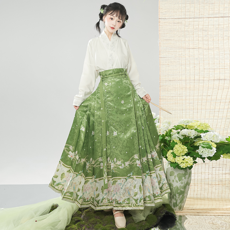 Ženski Hanfu set u Ming stilu, izvezena preklopna ovratnica, rukavi s krilima, nacionalni stil, suknja s panelom konjskog lica, svakodnevna putna odjeća
