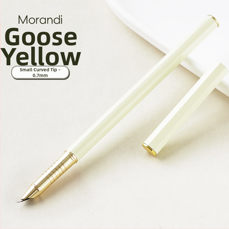Morandi plniace pero s 0,38 mm hrotom, kovové telo, dlhý telies, na precvičovanie písania, pre chlapcov aj dievčatá zo základnej školy