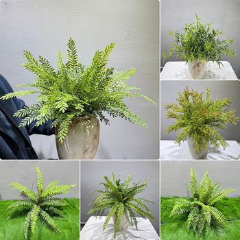 Falošné paprade a bylinky na dekorácie — kidney fern, Persian fern, rozmarín a asparagus fern