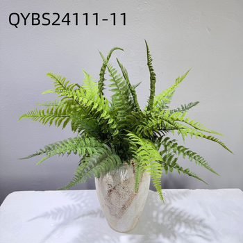 Falošné paprade a bylinky na dekorácie — kidney fern, Persian fern, rozmarín a asparagus fern