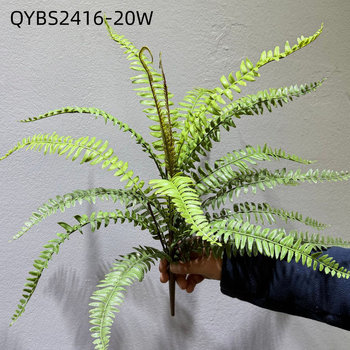 Falošné paprade a bylinky na dekorácie — kidney fern, Persian fern, rozmarín a asparagus fern