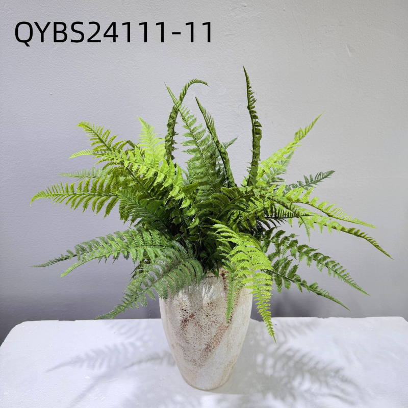 Falošné paprade a bylinky na dekorácie — kidney fern, Persian fern, rozmarín a asparagus fern