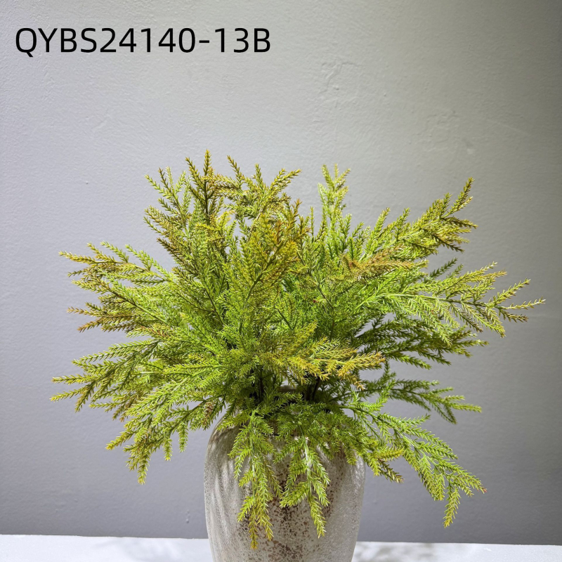 Falošné paprade a bylinky na dekorácie — kidney fern, Persian fern, rozmarín a asparagus fern
