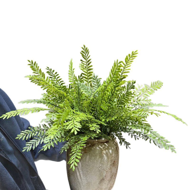 Falošné paprade a bylinky na dekorácie — kidney fern, Persian fern, rozmarín a asparagus fern