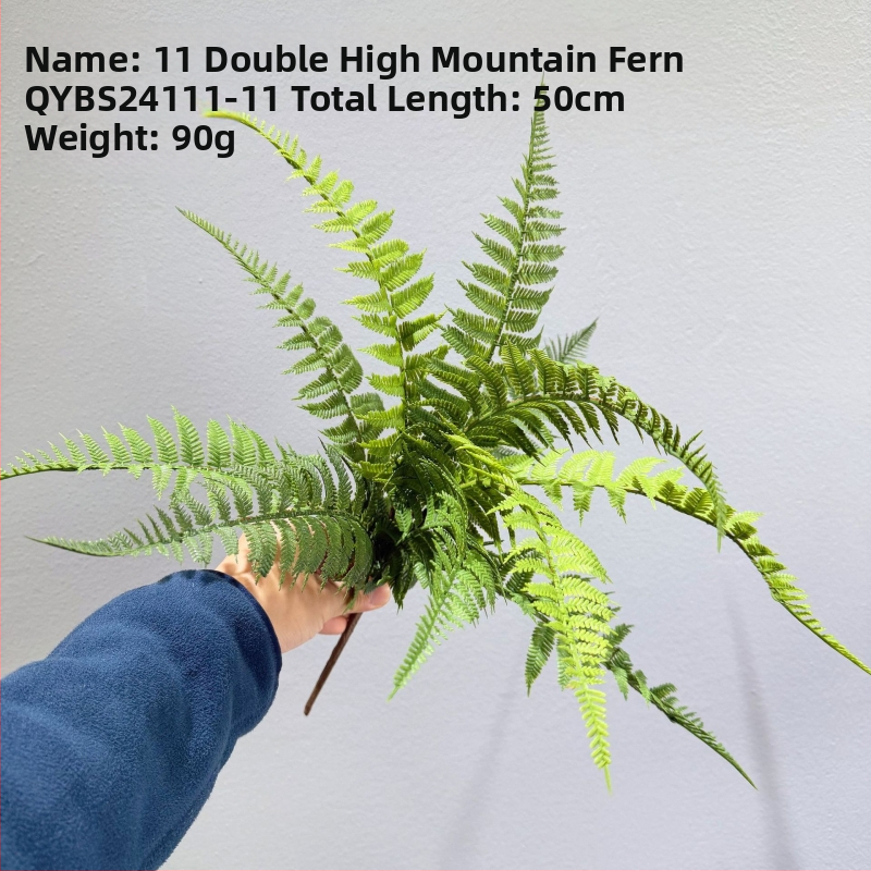 Falošné paprade a bylinky na dekorácie — kidney fern, Persian fern, rozmarín a asparagus fern
