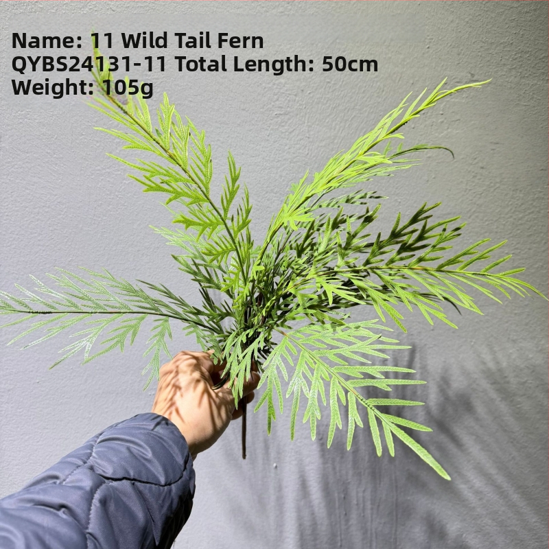 Falošné paprade a bylinky na dekorácie — kidney fern, Persian fern, rozmarín a asparagus fern