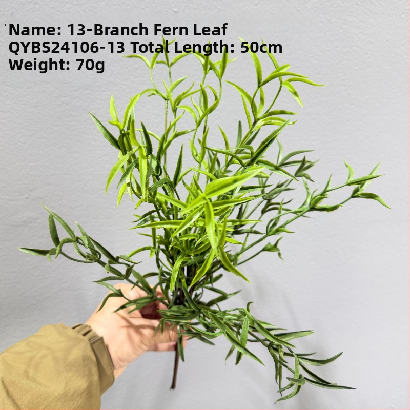 Falošné paprade a bylinky na dekorácie — kidney fern, Persian fern, rozmarín a asparagus fern