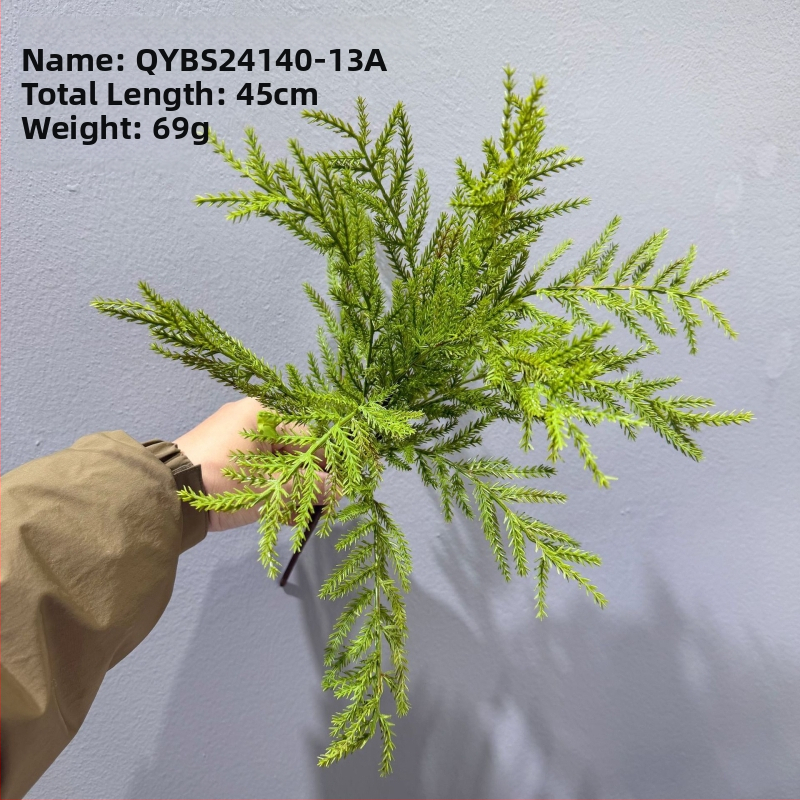 Falošné paprade a bylinky na dekorácie — kidney fern, Persian fern, rozmarín a asparagus fern