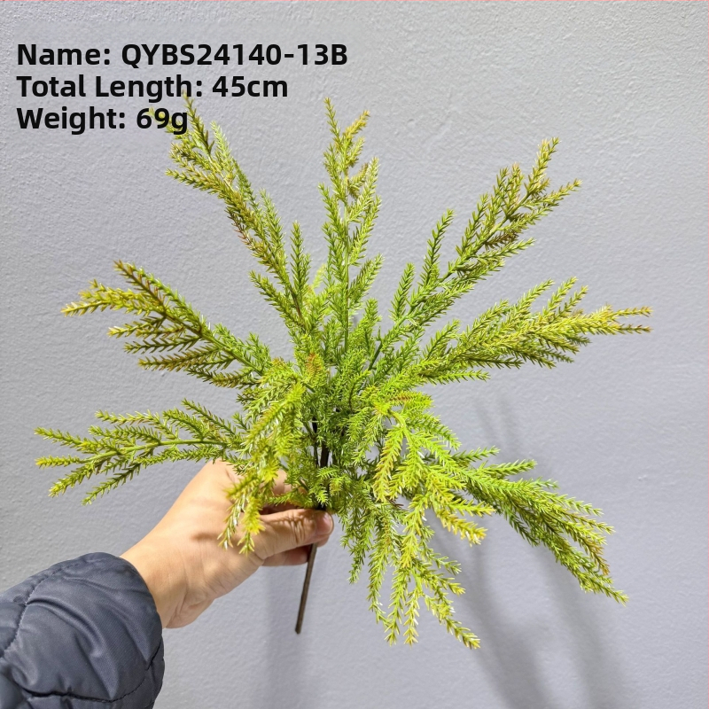Falošné paprade a bylinky na dekorácie — kidney fern, Persian fern, rozmarín a asparagus fern