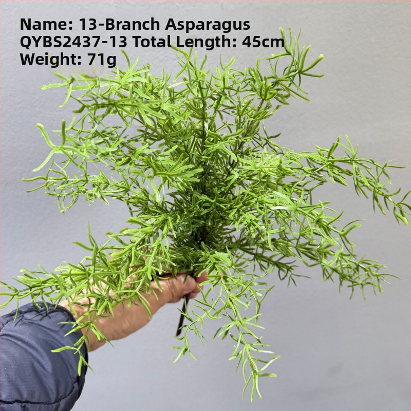 Falošné paprade a bylinky na dekorácie — kidney fern, Persian fern, rozmarín a asparagus fern