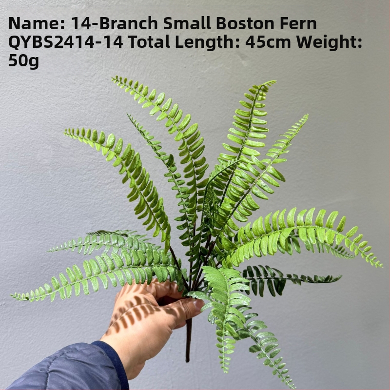 Falošné paprade a bylinky na dekorácie — kidney fern, Persian fern, rozmarín a asparagus fern