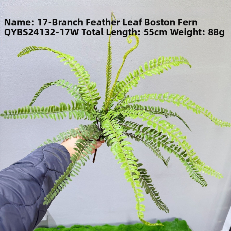 Falošné paprade a bylinky na dekorácie — kidney fern, Persian fern, rozmarín a asparagus fern