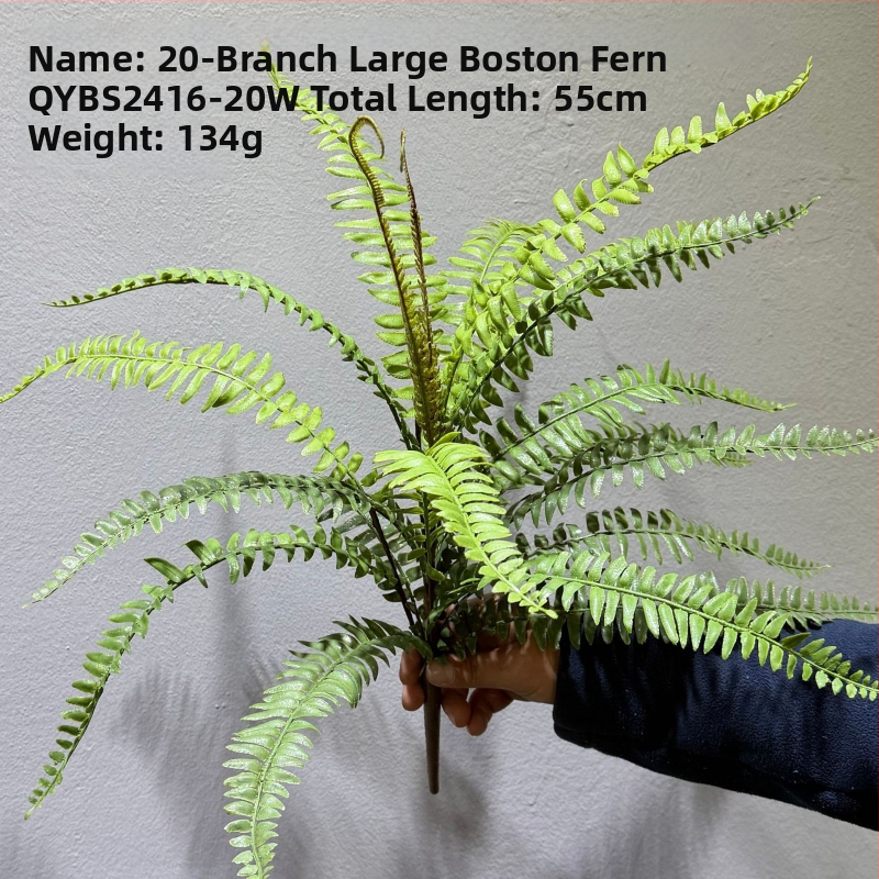 Falošné paprade a bylinky na dekorácie — kidney fern, Persian fern, rozmarín a asparagus fern