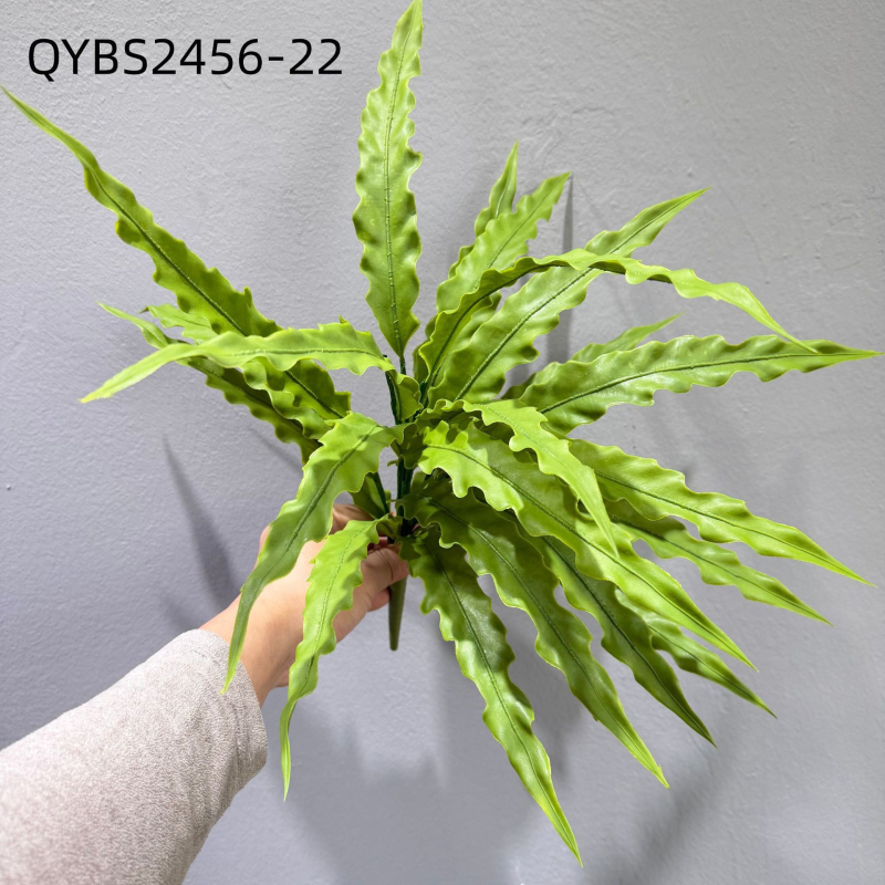 Falošné paprade a bylinky na dekorácie — kidney fern, Persian fern, rozmarín a asparagus fern