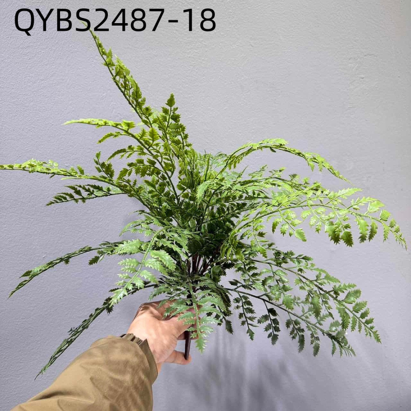 Falošné paprade a bylinky na dekorácie — kidney fern, Persian fern, rozmarín a asparagus fern