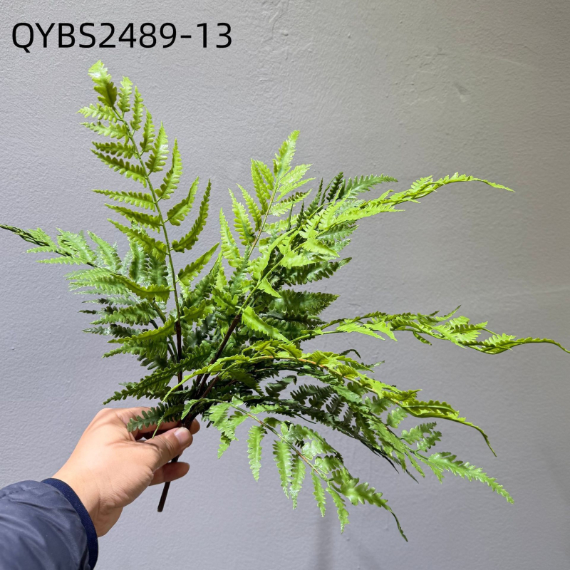 Falošné paprade a bylinky na dekorácie — kidney fern, Persian fern, rozmarín a asparagus fern