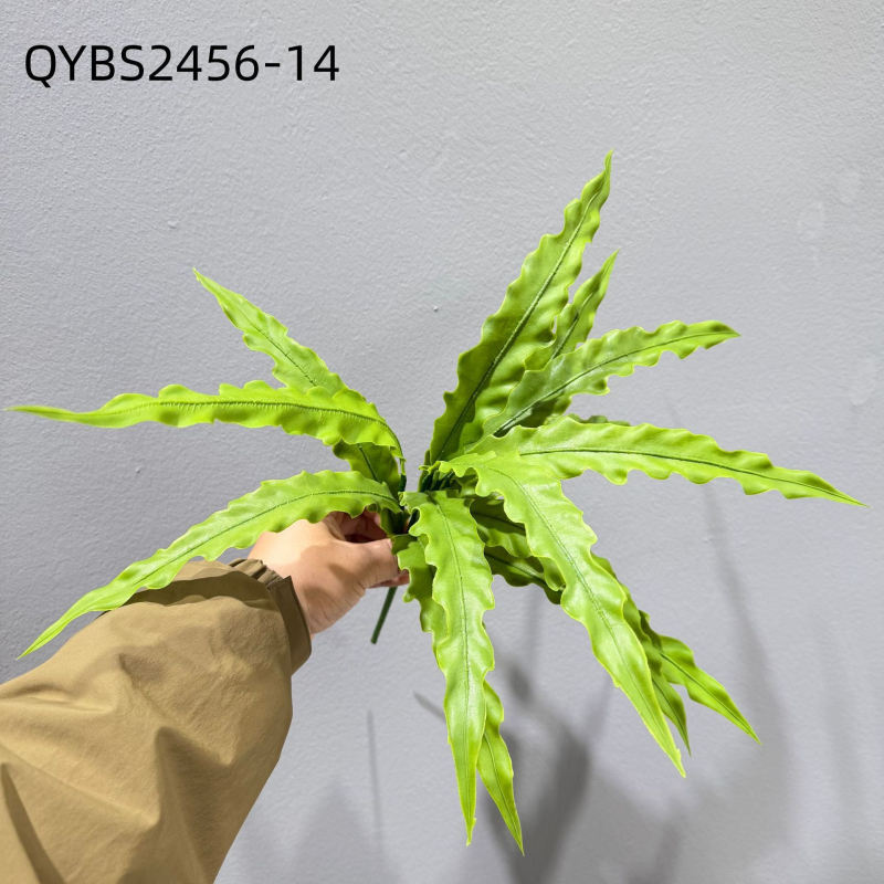 Falošné paprade a bylinky na dekorácie — kidney fern, Persian fern, rozmarín a asparagus fern