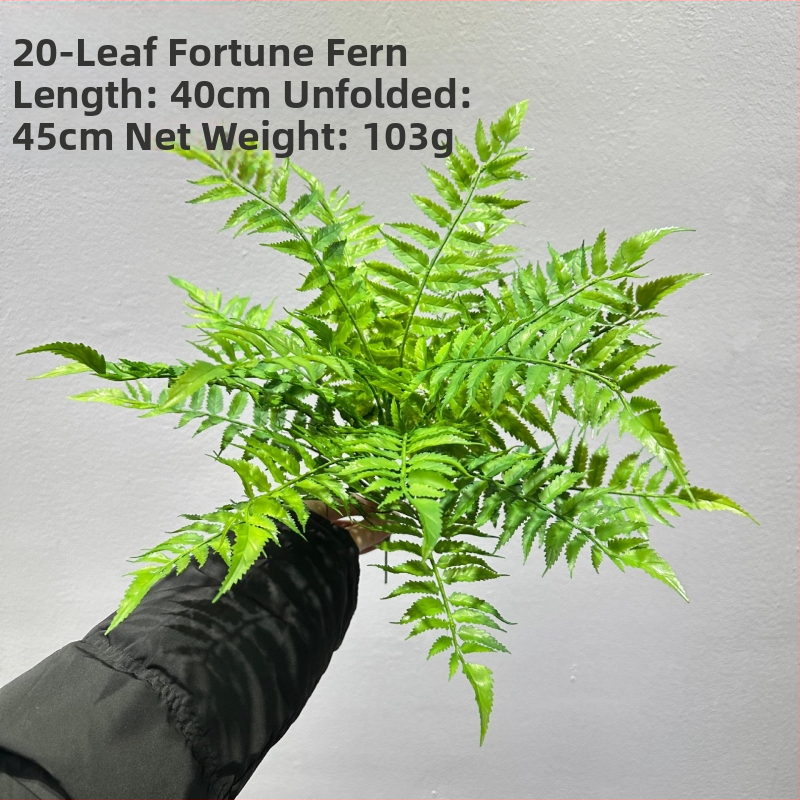 Falošné paprade a bylinky na dekorácie — kidney fern, Persian fern, rozmarín a asparagus fern