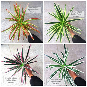 Umelé zelené rastliny na stenu a stolovú dekoráciu, doplnky z umelej trávy, malé bonsaje, výška 10–30 cm