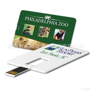 USB Webkey kartica s visokom rezolucijom boje tiska, papirnata ili plastična, kompatibilna s Apple Mac