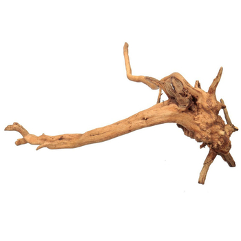 Akvarisztikai tájépítéshez készlet driftwood, azália gyökér, moha és vízi növények