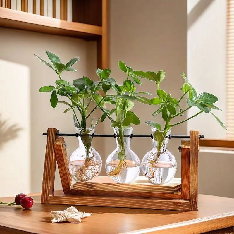 Hydroponický pothos v sklenenej glóbii so dreveným rámom, dekorácia na stol do kancelárie, sklo s vysokým borosilikátom, vintage farba