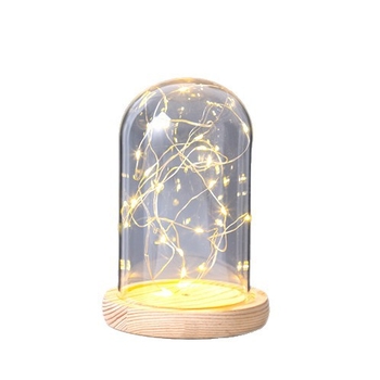Nočná lampa v tvare morského ježa s uchovanými kvetmi, skleneným krytom a základňou, svietiacimi vláknami na šnúre, figúrka na výstavu v priesvitnom prachotesnom boxe
