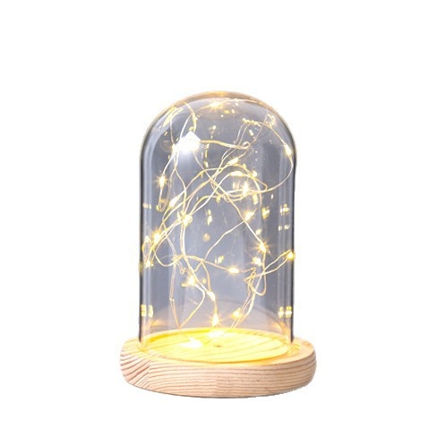 Nočná lampa v tvare morského ježa s uchovanými kvetmi, skleneným krytom a základňou, svietiacimi vláknami na šnúre, figúrka na výstavu v priesvitnom prachotesnom boxe