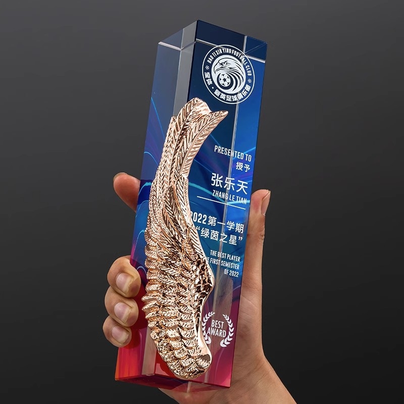 2025 Prilagođeni kristalni trofej s krilima, nagrada za izvanrednog zaposlenika na godišnjoj konferenciji