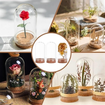 Priehľadná večná kvetina pod skleneným krytom, Ruža Malého princa, mikro krajinka, kreatívne DIY sklenená fľaša s dreveným uzáverom