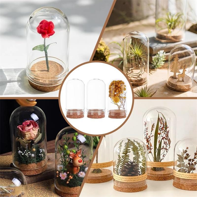 Priehľadná večná kvetina pod skleneným krytom, Ruža Malého princa, mikro krajinka, kreatívne DIY sklenená fľaša s dreveným uzáverom