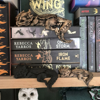 Sleep Dragon figúrka z živice na policu kníh, západný fantasy štýl