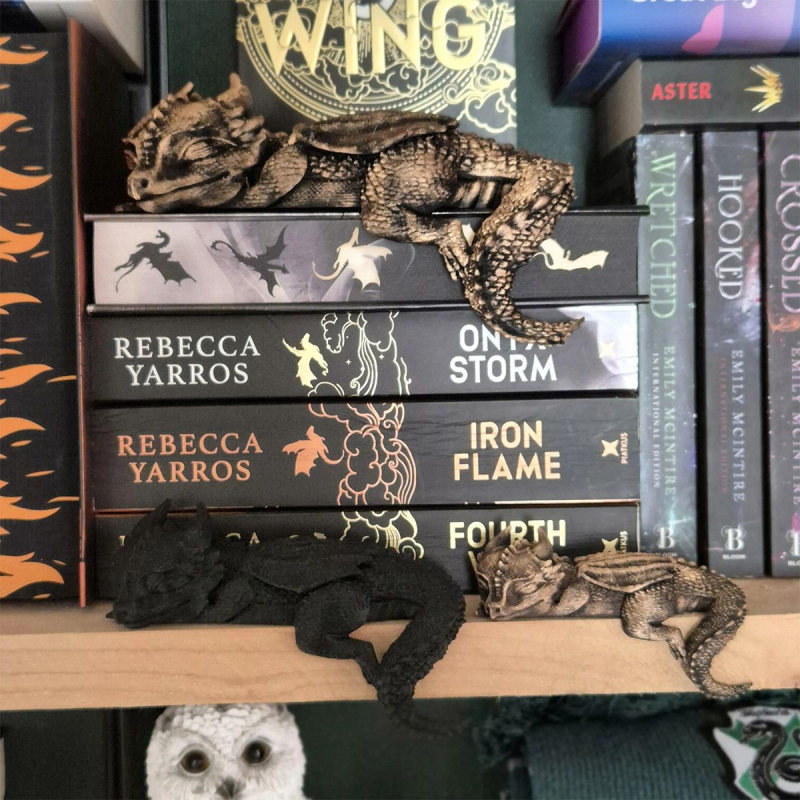 Sleep Dragon figúrka z živice na policu kníh, západný fantasy štýl