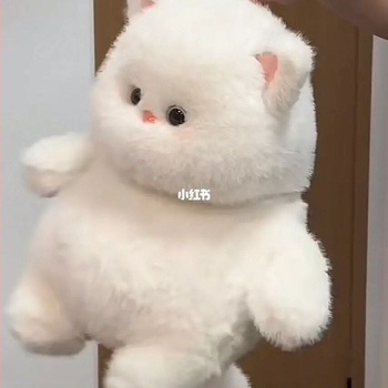 Meow It Cub biela mačka plyšová hračka, roztomilá mačacia bábika a vankúš