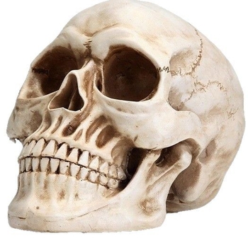 Lubanja od smole za Halloween — personalizirana ukras za ured