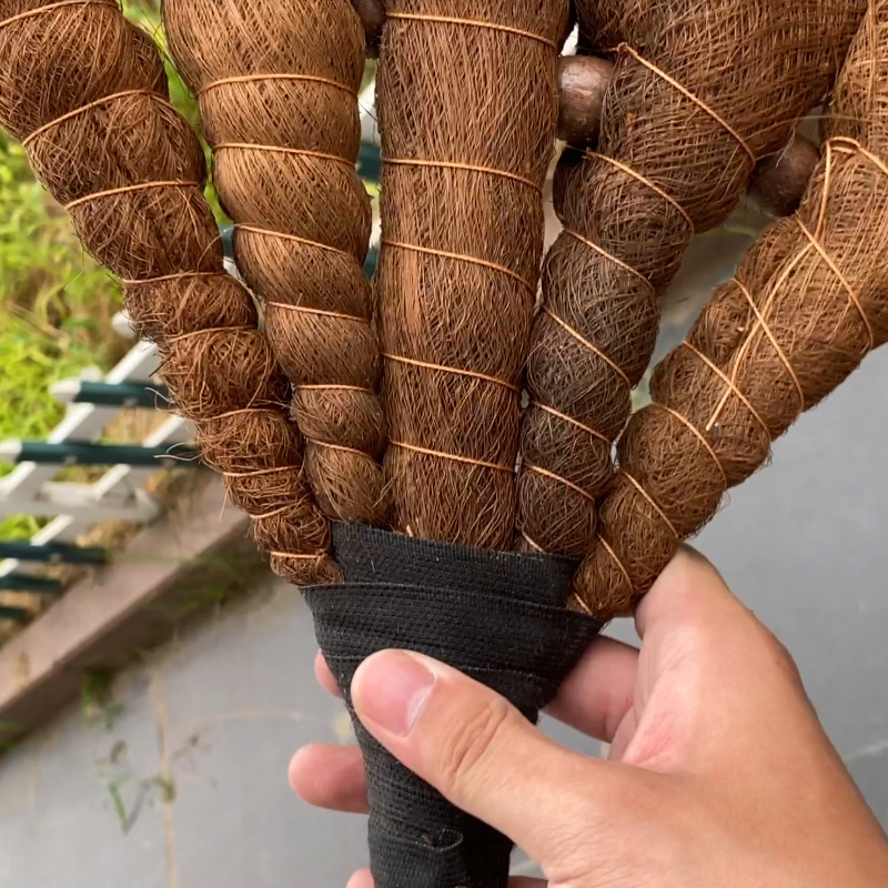 Ručna metla od vlakana palme s drškom od drveta, tradicionalna duga drška za dvorište i radionicu.