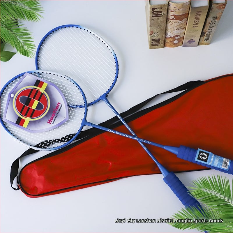 Haotian Dvojdielny set rakiet na badminton pre dospelých a deti, s penovou rukoväťou a taškou