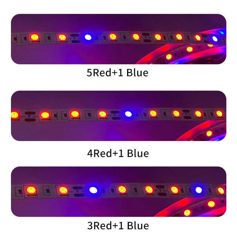 LED trakica za rast biljaka, 60×5050 LED, 12V/24V, visoka svjetlost, CRI 90, 7-14W, podesiva svjetlost, nije vodootporna, ugao zračenja 150°, Sanken LED, USB 5V pomoćno svjetlo, duljina 5 m