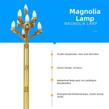 Magnólia lampa cestného osvetlenia — 10 m krajinné osvetlenie, 8 m Magnólia ulicná lampa, 12 m vysoký stĺp pre námestie
