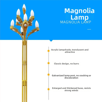 Magnólia lampa na cestné a krajinné osvetlenie, 10 m cestová lampa, 8 m mestská lampa, 12 m vysoký stĺp osvetlenia pre mestský námestie